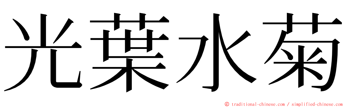 光葉水菊 ming font