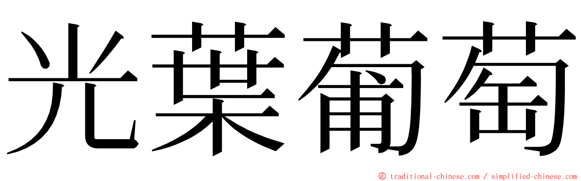 光葉葡萄 ming font