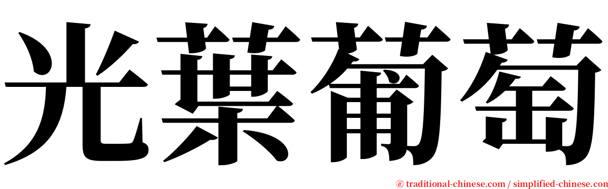 光葉葡萄 serif font