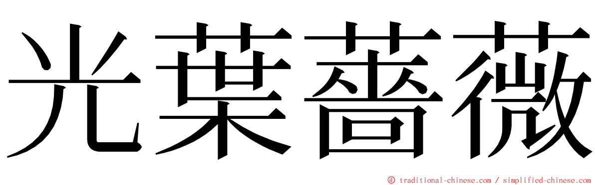 光葉薔薇 ming font