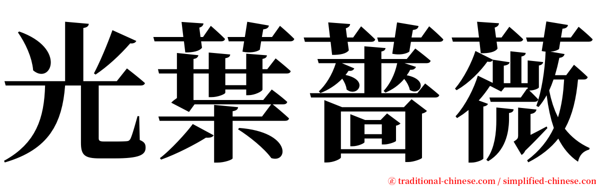 光葉薔薇 serif font