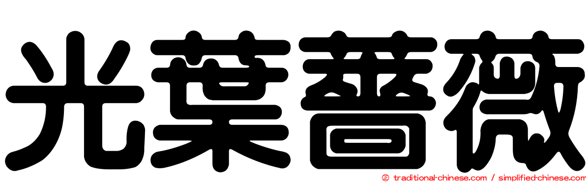 光葉薔薇