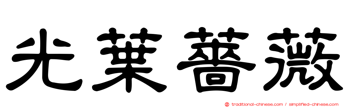 光葉薔薇