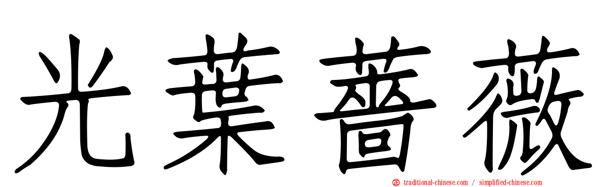 光葉薔薇