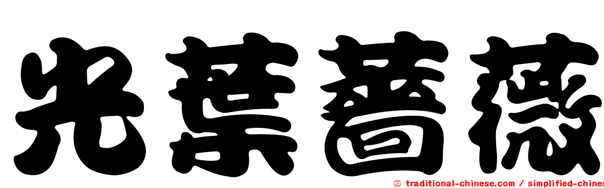光葉薔薇