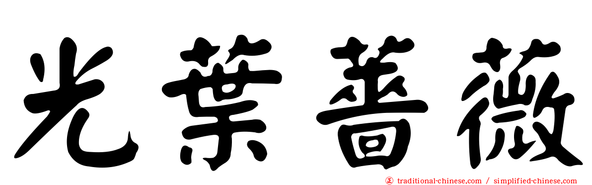 光葉薔薇