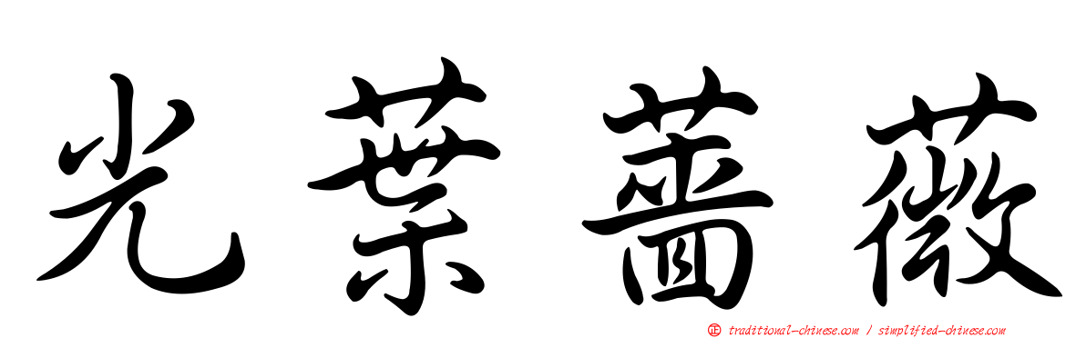 光葉薔薇