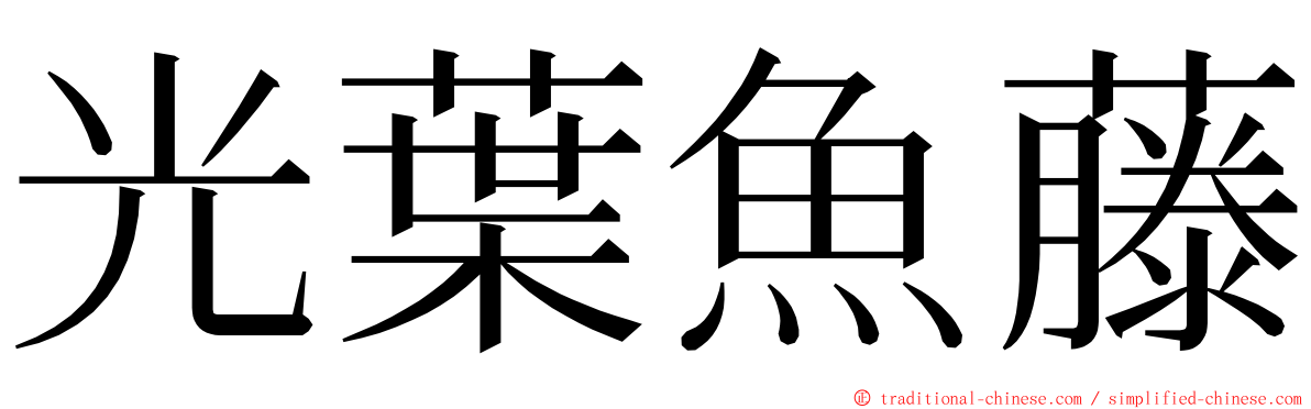 光葉魚藤 ming font