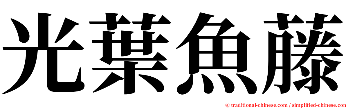 光葉魚藤 serif font