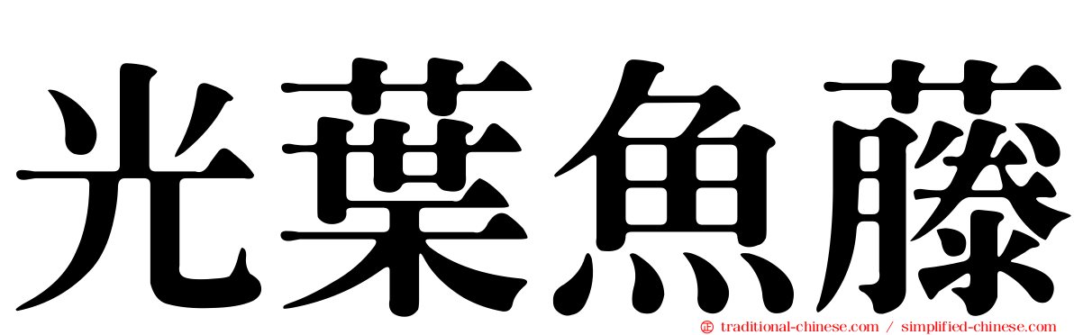 光葉魚藤