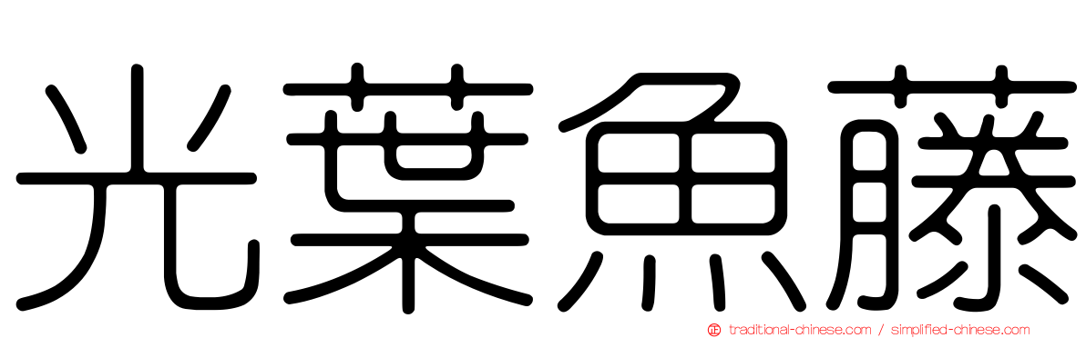 光葉魚藤