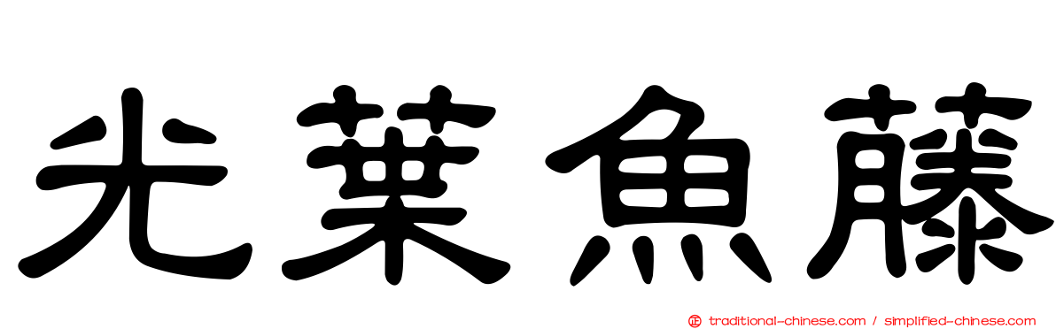 光葉魚藤