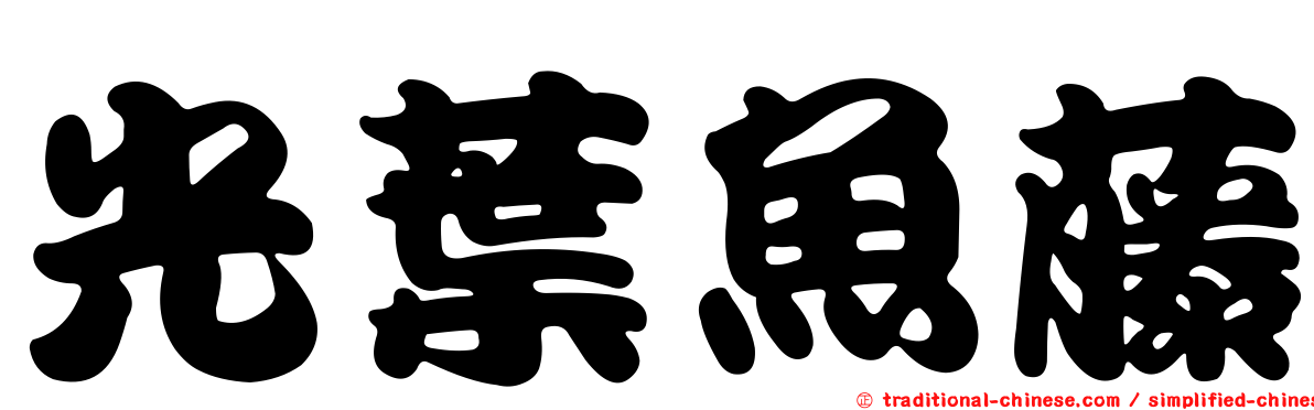 光葉魚藤