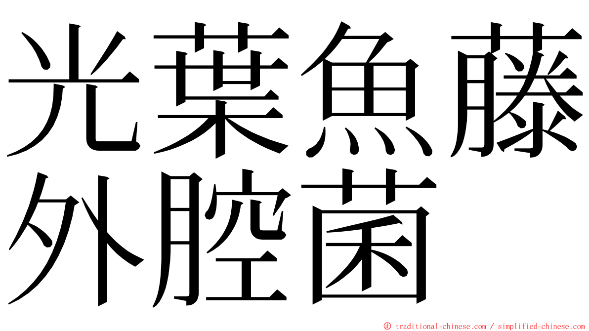光葉魚藤外腔菌 ming font