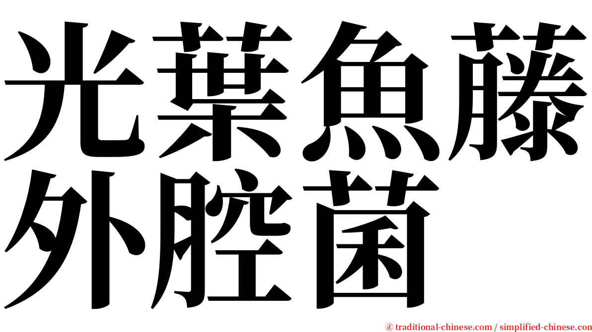 光葉魚藤外腔菌 serif font