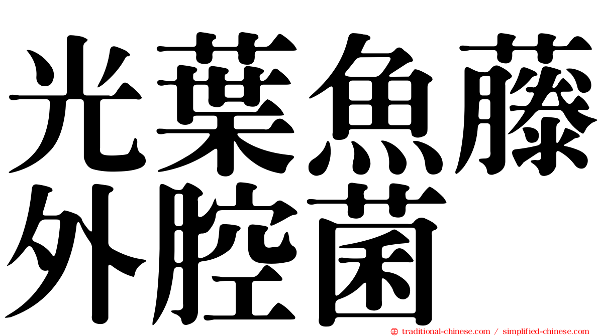 光葉魚藤外腔菌