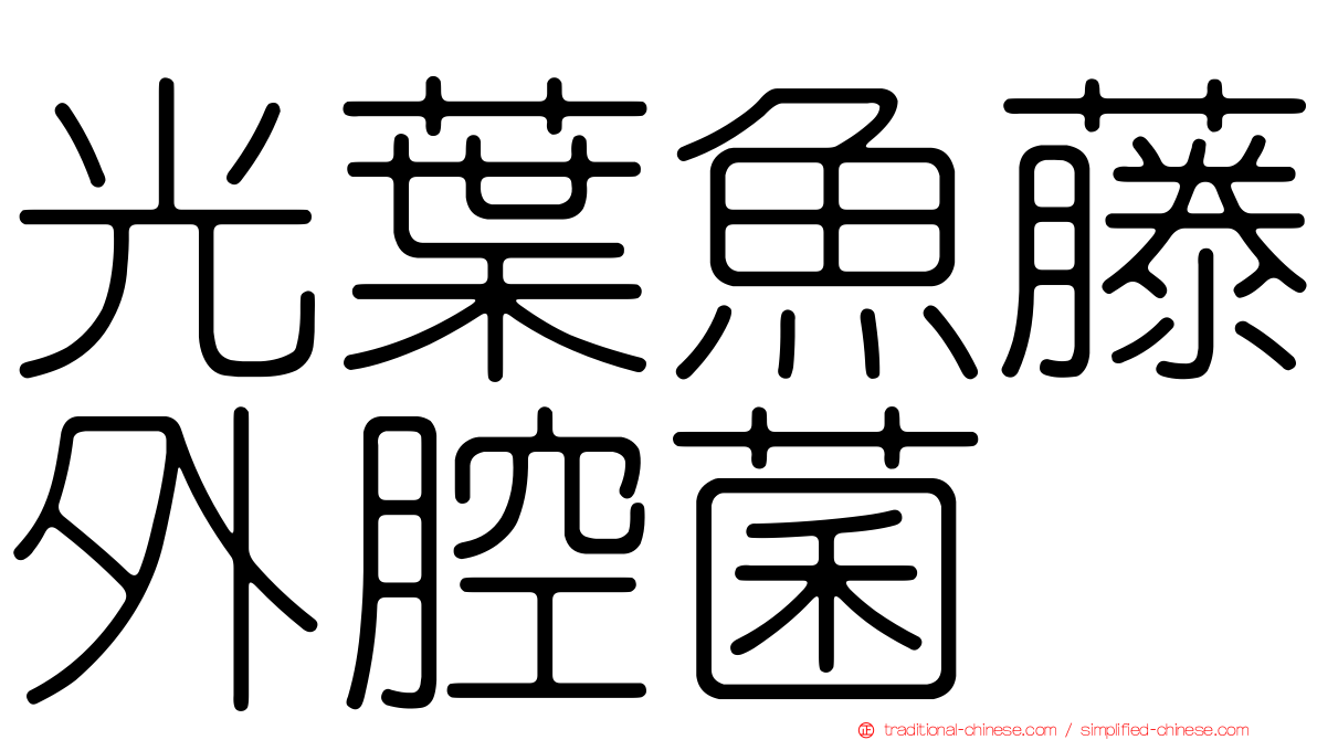 光葉魚藤外腔菌