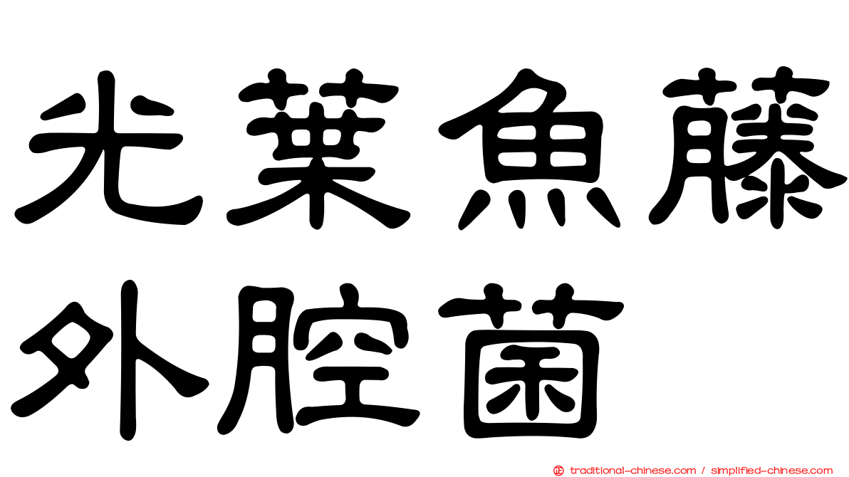 光葉魚藤外腔菌