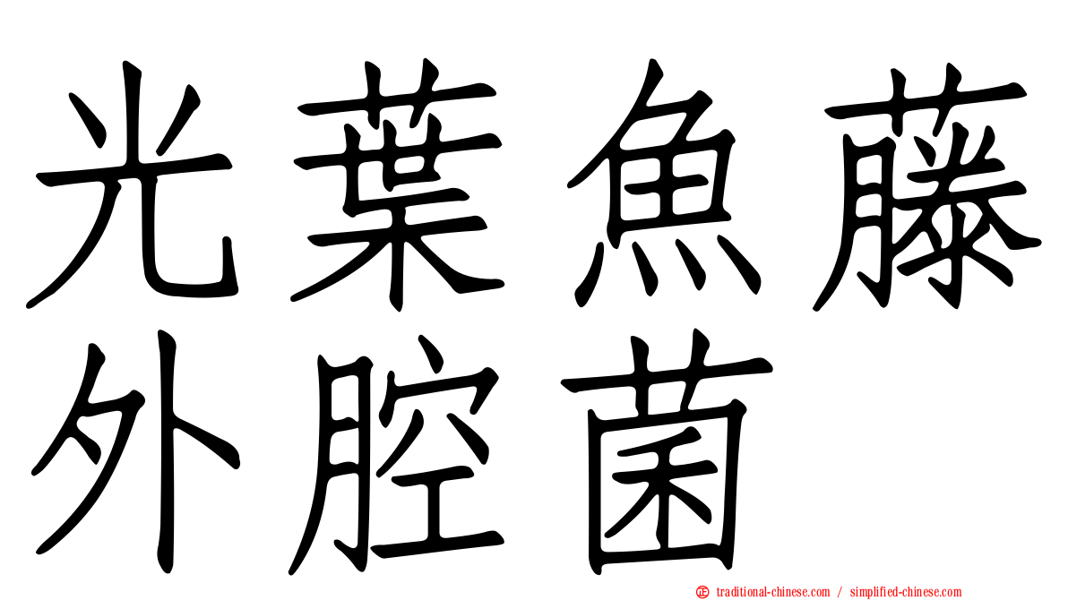 光葉魚藤外腔菌