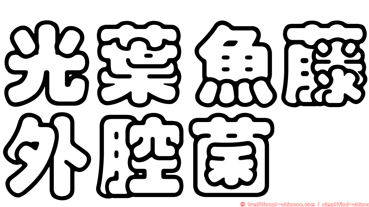 光葉魚藤外腔菌