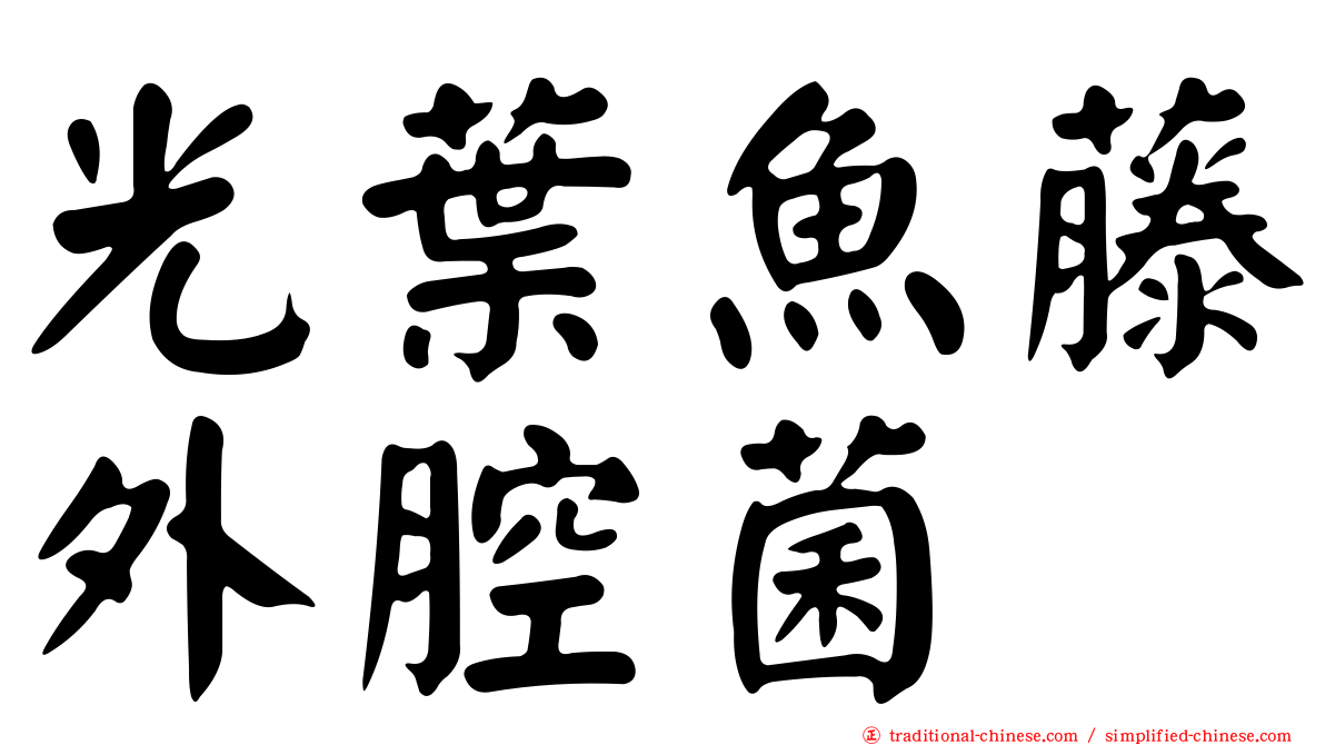 光葉魚藤外腔菌