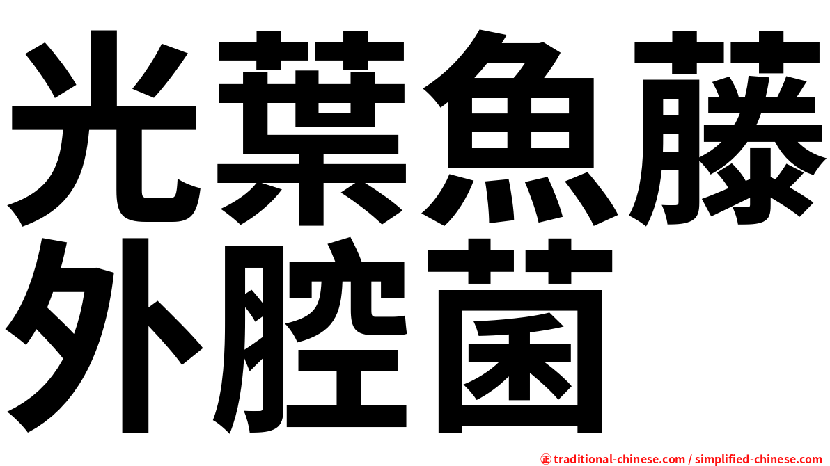 光葉魚藤外腔菌