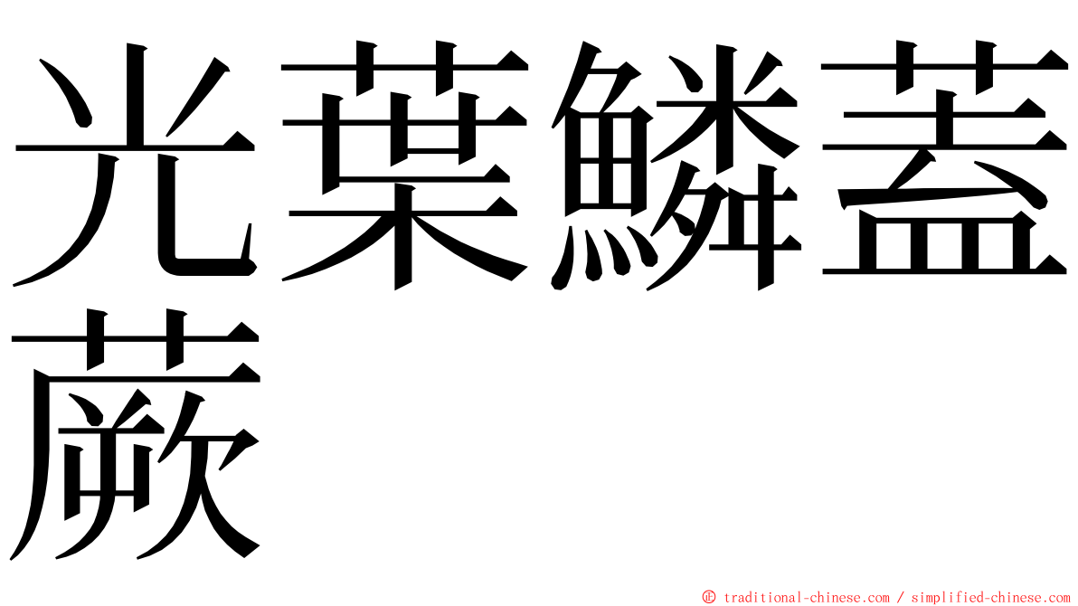 光葉鱗蓋蕨 ming font