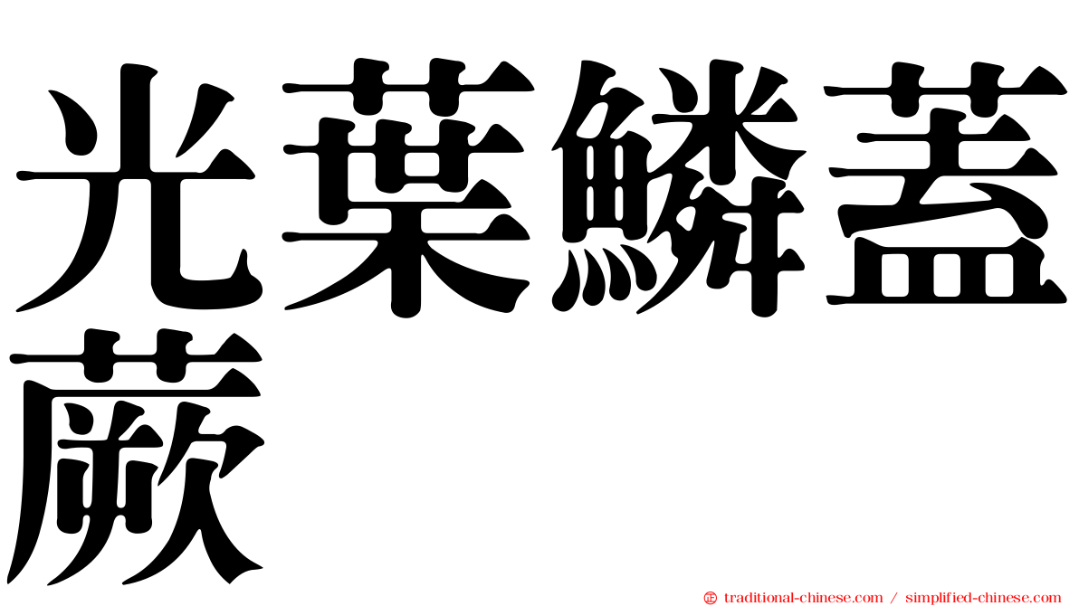 光葉鱗蓋蕨