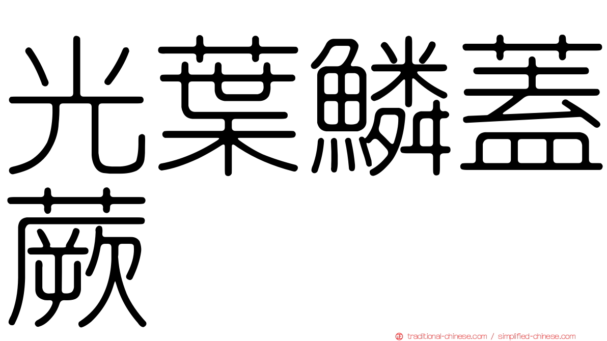 光葉鱗蓋蕨