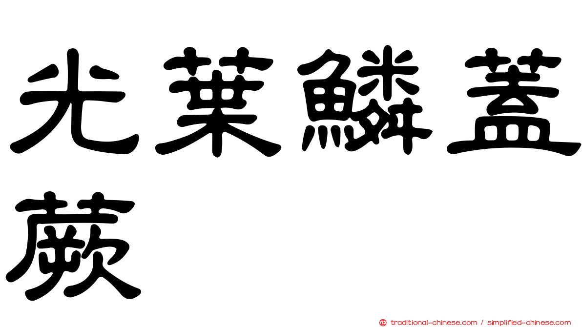 光葉鱗蓋蕨