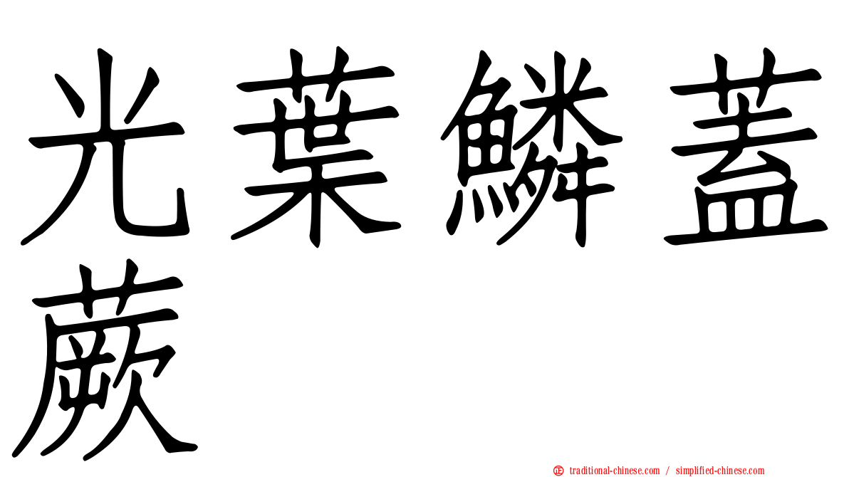 光葉鱗蓋蕨