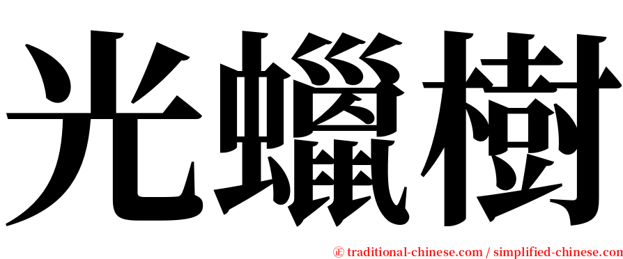 光蠟樹 serif font