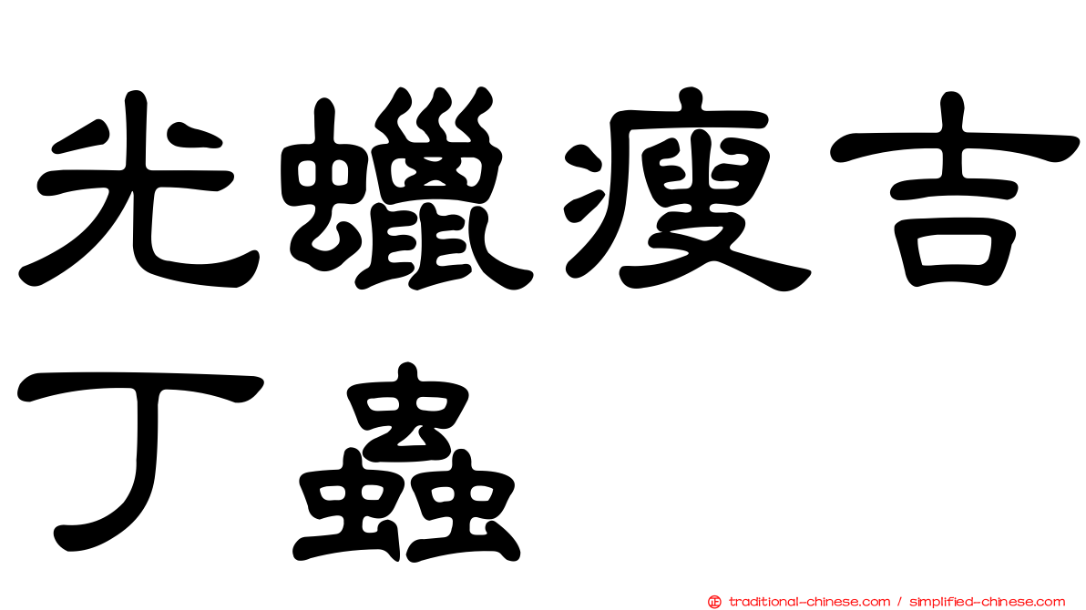 光蠟瘦吉丁蟲