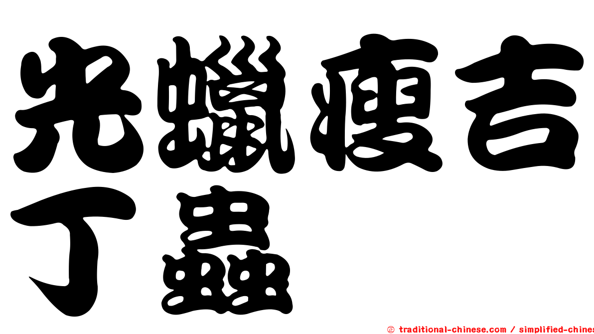 光蠟瘦吉丁蟲