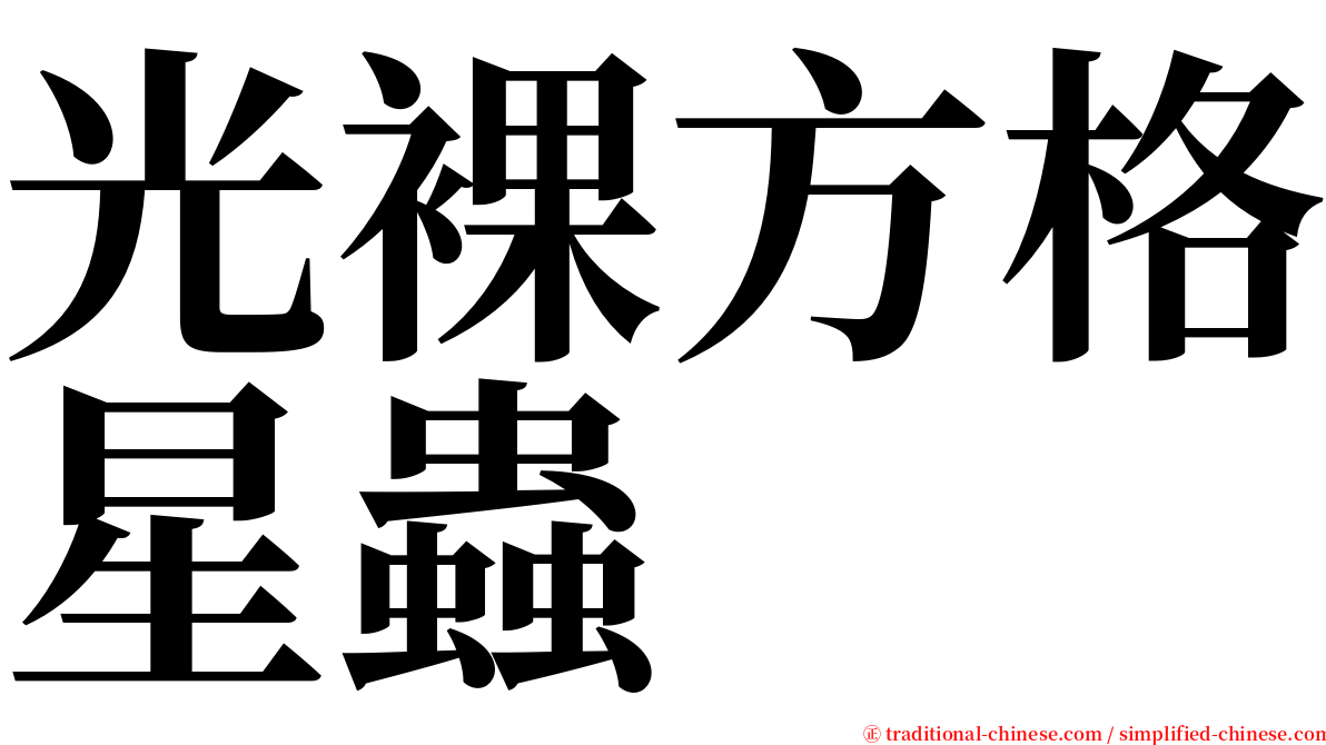 光裸方格星蟲 serif font