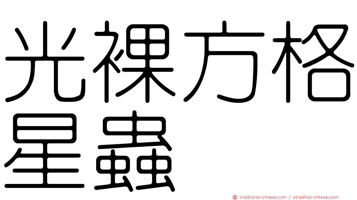 光裸方格星蟲