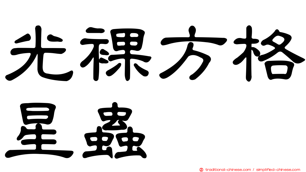 光裸方格星蟲