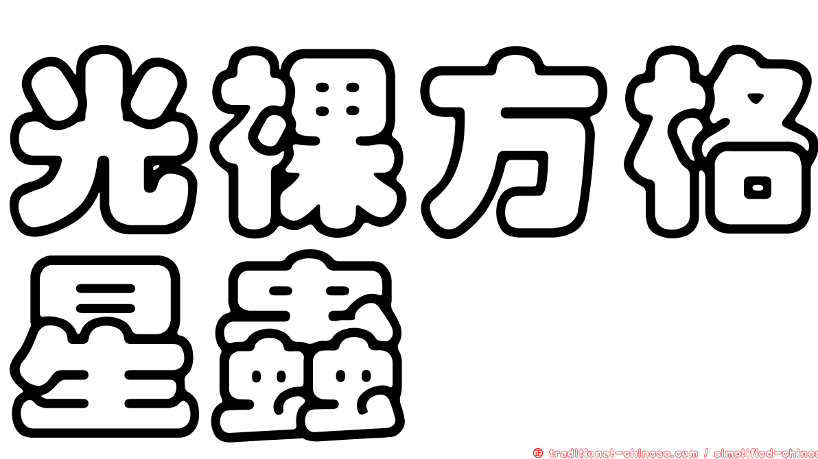 光裸方格星蟲