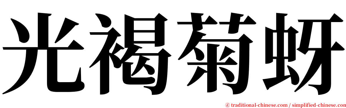 光褐菊蚜 serif font