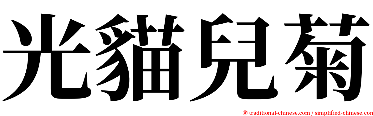 光貓兒菊 serif font