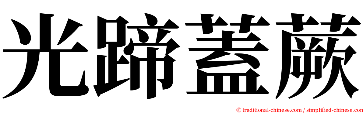 光蹄蓋蕨 serif font