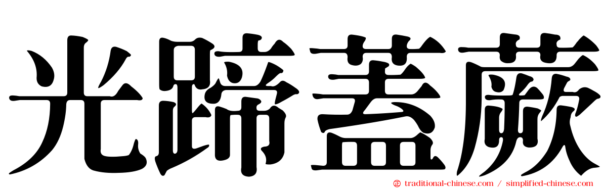 光蹄蓋蕨