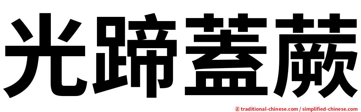 光蹄蓋蕨