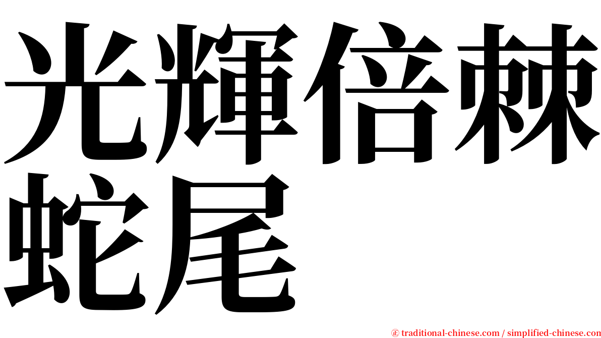 光輝倍棘蛇尾 serif font