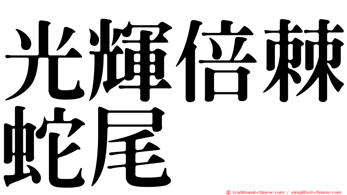 光輝倍棘蛇尾