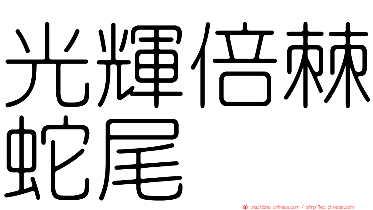 光輝倍棘蛇尾