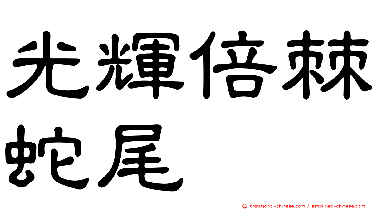 光輝倍棘蛇尾