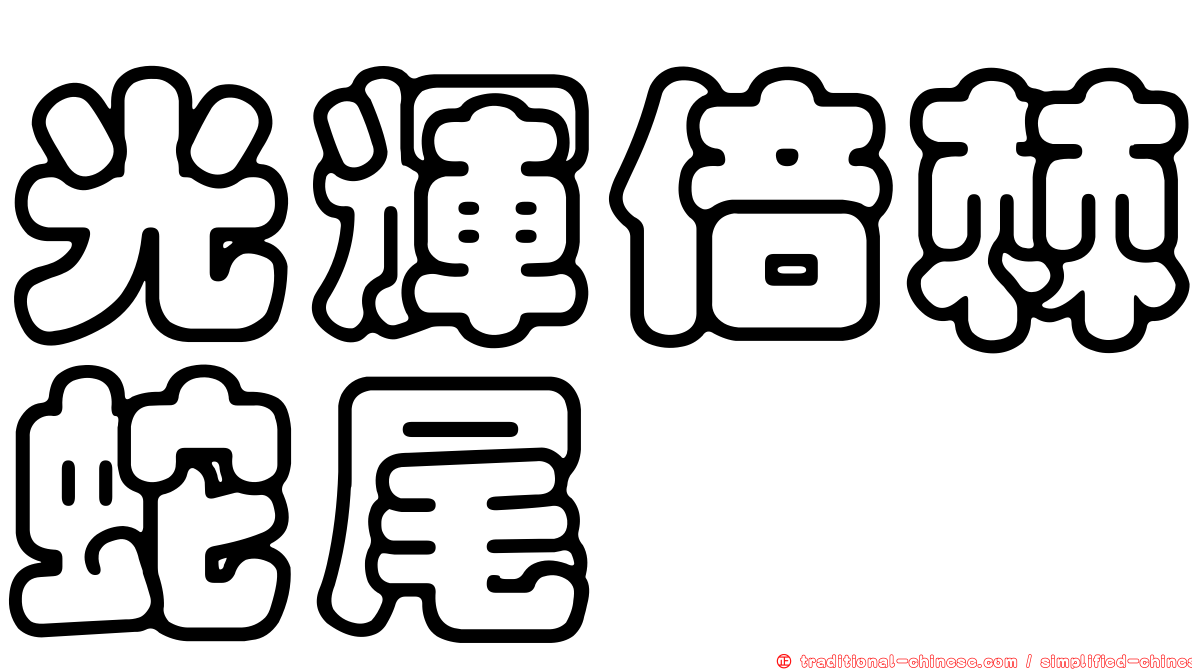 光輝倍棘蛇尾