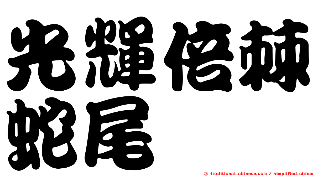 光輝倍棘蛇尾