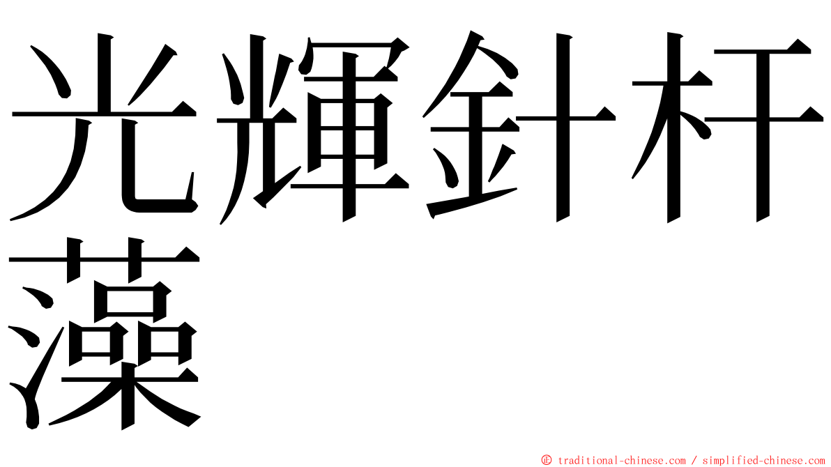 光輝針杆藻 ming font